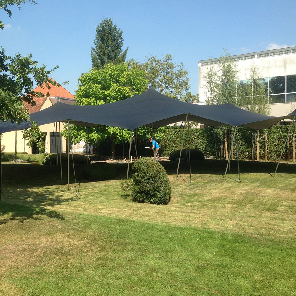 Carpa de Lujo para Eventos, Po - Event & Party Supply reseña y precio